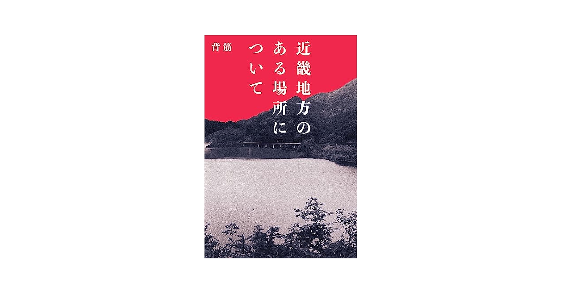 ゾゾゾ はやせやすひろ 近畿地方のある場所について サイン本 4冊　他 1冊 Amazon.fr - 近畿地方のある場所について - Livres