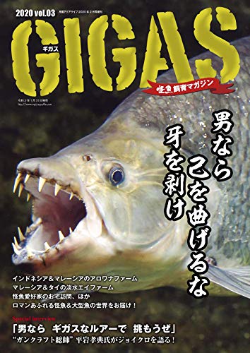 オライリー 無料電子書籍 怪魚飼育マガジン GIGAS(ギガス) vol.03 バイ