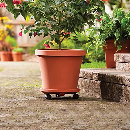 Image of HASTHIP Plant Stand 30CM Plastic Caddy with Locking 4 Wheels Indoor | Smooth Rolling Support for Heavy Pots, Lockable Mobility, Durable Plastic Build, Suited for Indoor and Outdoor Use
