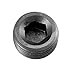 Redhorse Performance - 932-16-12-2 - -16 (1INCH) NPT Socket Head Pipe PLUG-BLACK-12PCS