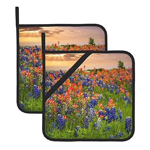 Texas Bluebonnets Scenery Pot Holder Oven Pads : Pot Holder Heat Resistant Potholder of 2 for Cooking Microwave Barbecue and Baking