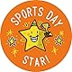 SuperStickers Sporttag Teilnahme Variety Sticker Pack (250 Aufkleber)