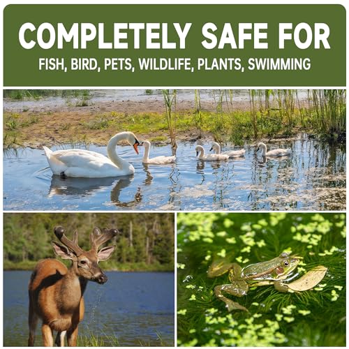 Muck-Reducer-5LB-Natural-Sludge-Solution-Tablets-for-Ponds-Lakes-Away-Muck-Odor-Control-Safe-for-Aquatic-Life-Wildlife-Recreation-Treats-Up-to-30000-Sq-Ft Muck Reducer 5LB Natural Sludge Solution Tablets for Ponds Lakes Away Muck Odor Control Safe for Aquatic Life Wildlife Recreation Treats Up to 30000 Sq Ft