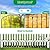 Decorative Garden Fence 10 Pack,10.5ft(L) x16in(H) Garden Decorative Fence,Rustproof Metal Wire Garden Fence Border for Outdoor Yard Landscape Patio for Dog Rabbit Pet,Small Animal Barrier Fence