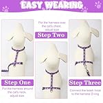 2 Pack Cat Harness and Leash with Collar Set, Escape Proof Cat Harness Adjustable Kitten Harness Glow in The Dark for Small Medium Cats - Image 4