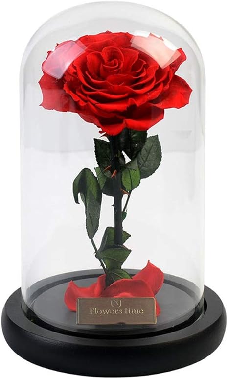 Amazon 保存花 おしゃれな枯れない花 ガラスドームで新鮮なバラを保存レアルローズ美女と野獣薔薇エンチャントを保存 永遠枯れない花 色 赤 Size 12x18cm プリザーブドフラワー オンライン通販
