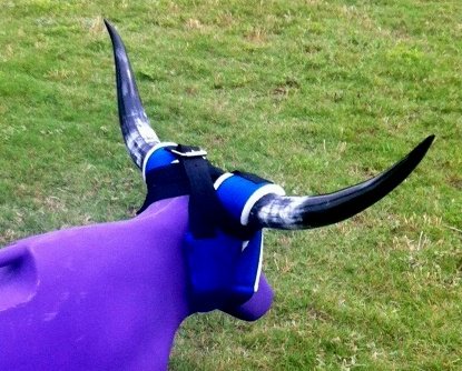 7K Roping Something Dummy Natural SuperHorns, Varies