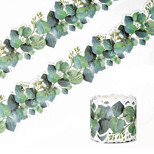 10m Display Borders for Classrooms Eucalyptus Bulletin Board Border Roll Green Classroom Decoration Wallpaper Border Trim Nature-Inspired School Display Border for Teachers Walls Notice Boards