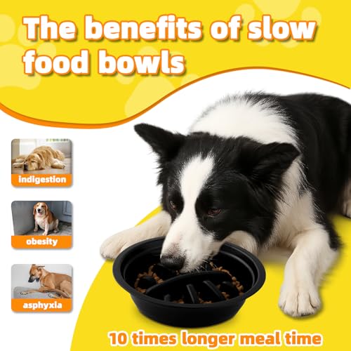 Hundenapf Erhöht, Höhenverstellbarer Hundenapf Grosse Hunde - 2X Edelstahlschale (1200ml) + 1 x Slow-Feeder (800ml) - rutschfeste Futterstation für mittelgroße/große Hunde Schwarz Grau
