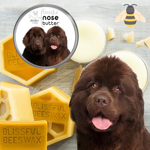 Image of The Blissful Dog Bronze Newfoundland Nose Butter, 4OZ