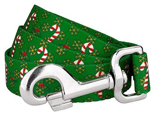 Country Brook Petz - Candy Cane Christmas Dog Leash - Christmas Collection Featuring Festive Designs (6 Foot, 1 Inch Wide)
