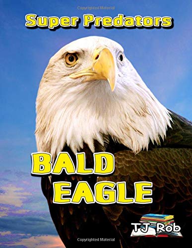 Bald Eagle: Age 6 and above