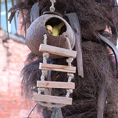 Tosean Kokosnussschalenhütte mit Leiter, Reptilien Versteck Höhle zum Aufhängen, natürliche Kokosnuss Nisthaus für Leopardgecko, Geckos, Amphibien, Vögel und Kleintiere
