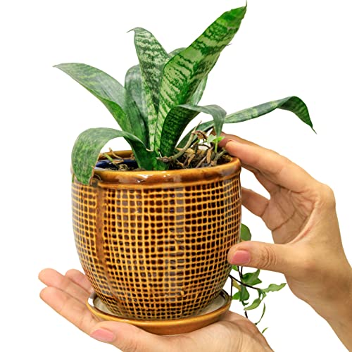 Image of Plant Pot with Tray /Plate for Small Plants, Bonsai, Succulents, Cactus | Planter for Living Room (Brown, 1 Flower Pot Ceramic)(5 inches Pot for Home Decoration)