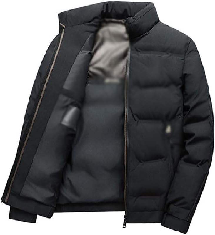 VIDI Winter Stand-up Collar Down Jacket Men's Short Section Warm Clothing