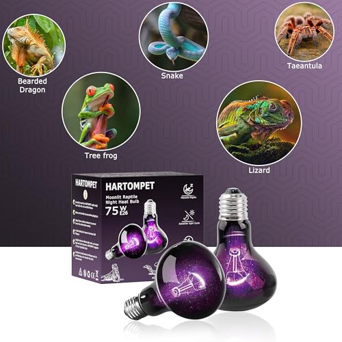 Image of 75W Reptile Night Light Bulb, UVA Heat Lamp, Purple Basking Lamp | Provides Soft Moonlight Glow, Helps Maintain Natural Sleep Patterns & Behaviors for Lizards, Chameleons, Geckos & Reptiles