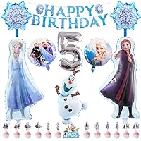yumcute 22pc Frozen 5th Birthday Balloon Set, Elsa Themed, Biodegradable Aluminium Foil Balloons, Happy Birthday Banner, Cake Decorations for Girls