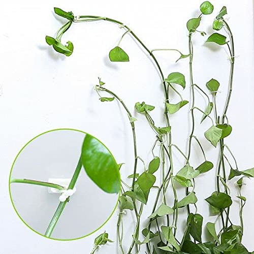 Techome Invisible Wall Vines Fixing Clips, Plant Climbing Holder Fixer Self-Adhesive Fixture, Pack of 60