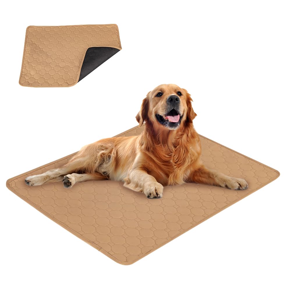 Alèse tapis chien pipi ultra absorbante et lavable pour l'éducation des animaux de compagnie
