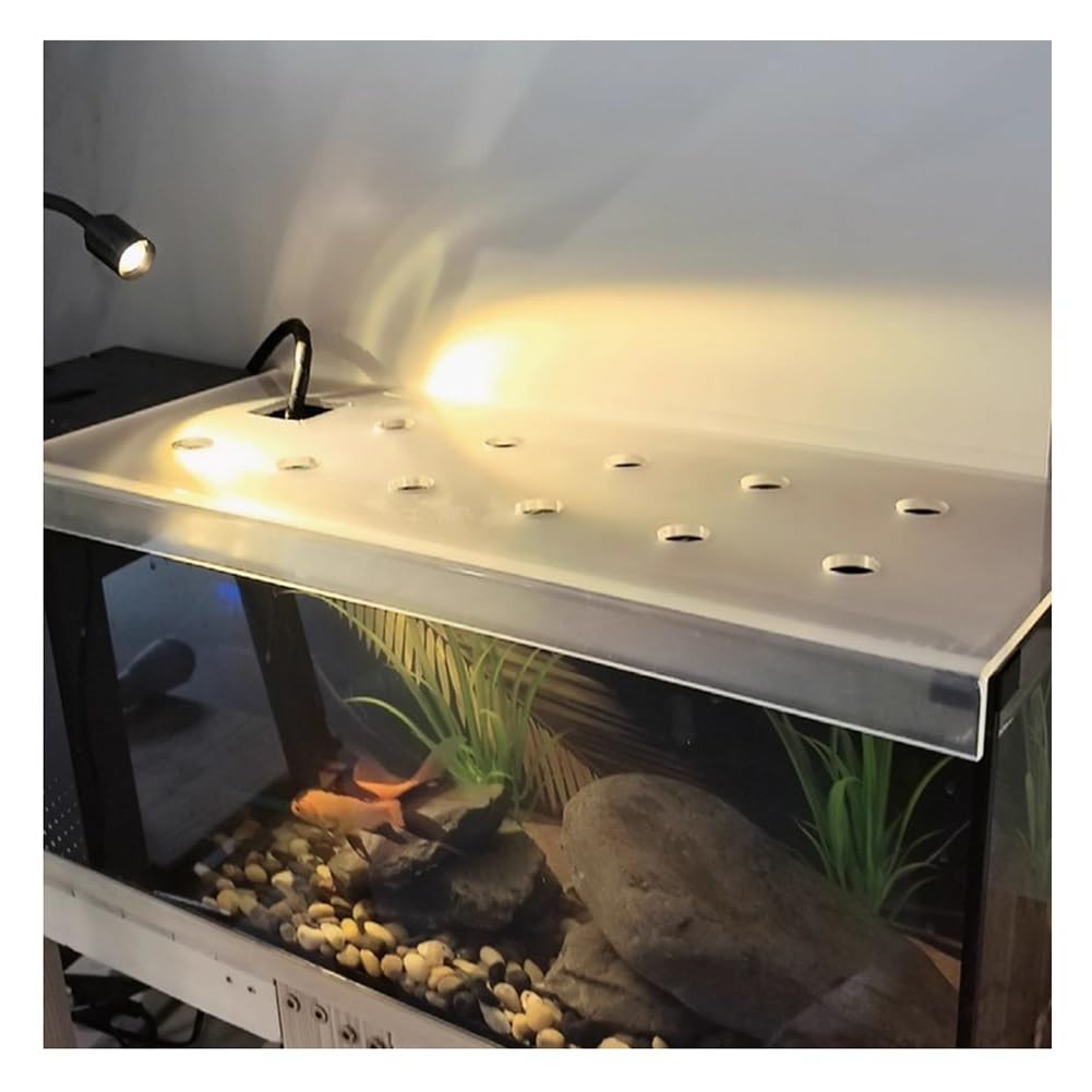 Rygcrud Coperchio in Acrilico Trasparente per Acquario Quadrato, A Prova di Gatto Coperchio Superiore per Acquario, Coperchio A Prova di Salto con Foro, Tagliabile(35x35x3cm)