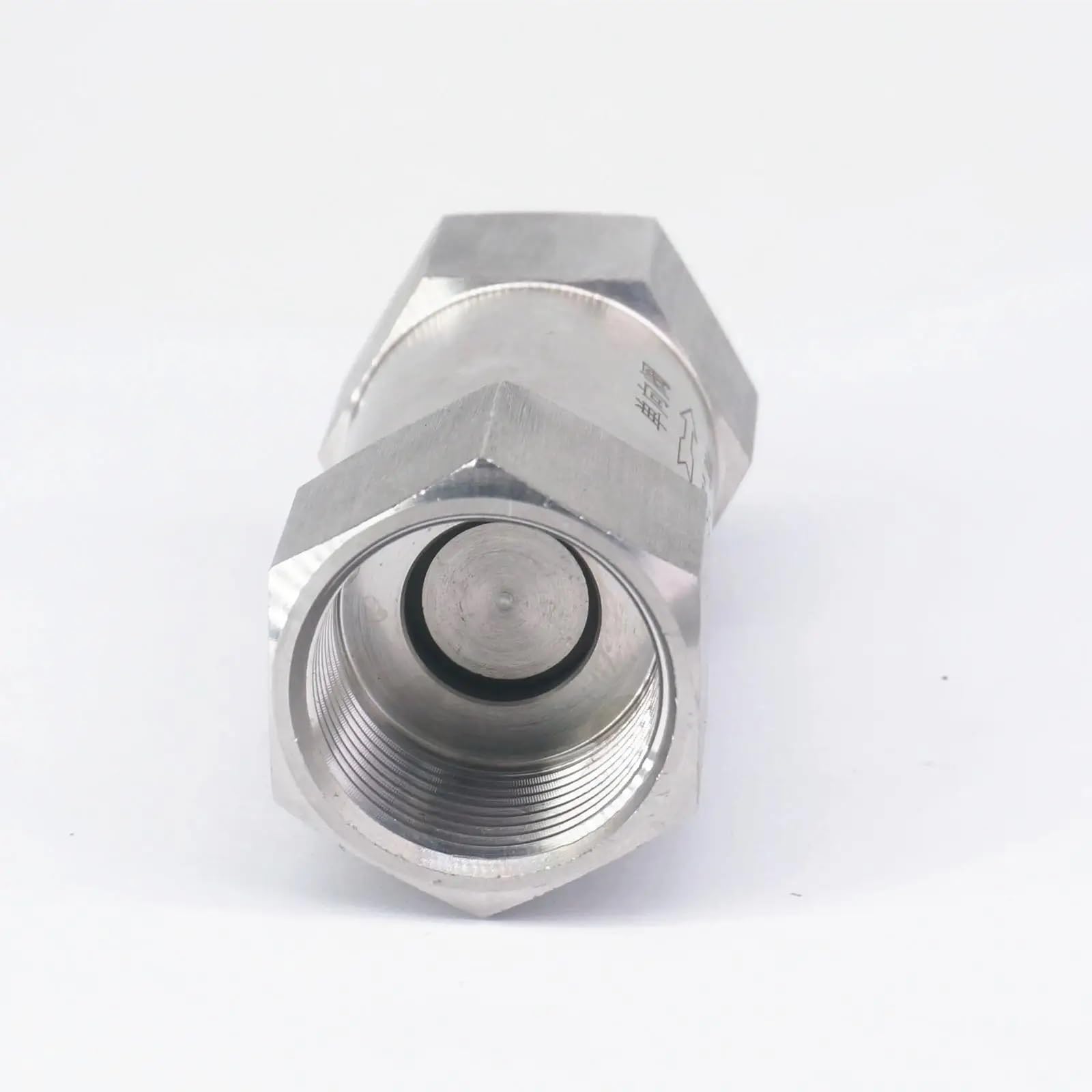 Valvola unidirezionale di ritegno in Linea con Molla NPT da 1" in Acciaio Inossidabile 304 Acqua Gas Olio Non Ritorno