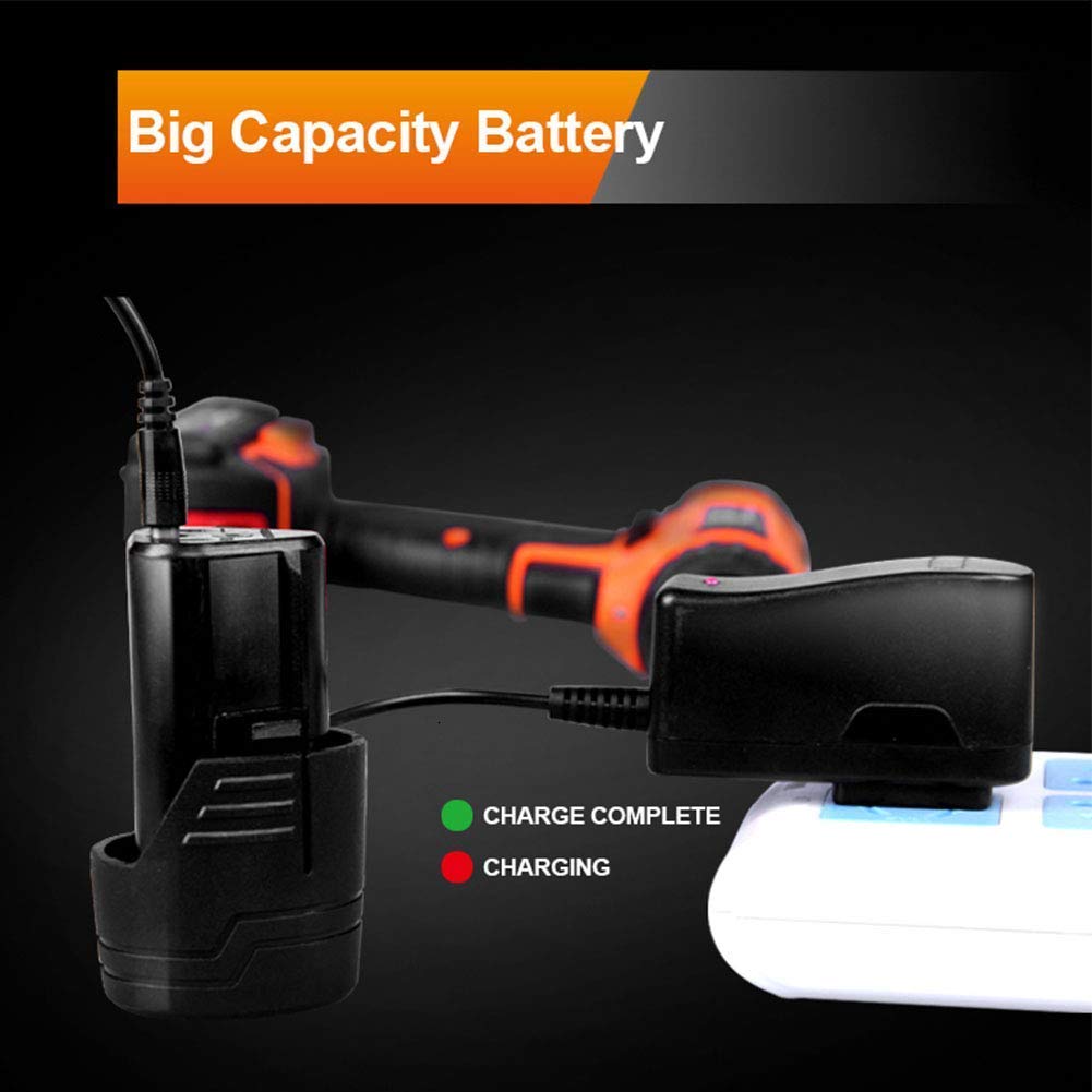 Trapano Avvitatore Elettrico 12V, 1300mAh Li-Ion, velocità Variabile, Frizione 21 + 1, per Forare Muri, Mattoni, Legno, Metallo