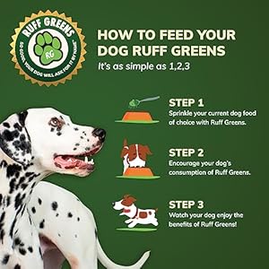   Ruff-Greens-Hip-Joint-Supplement-For-Dogs-Probiotics-Digestive-Enzymes-Powder-for-Mobility-Support-Essential-Vitamins-Minerals-69-ounce