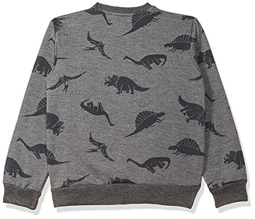 Image of Gubbarey Boy's Fleece Sweatshirt (SSB1071-1100 Light Grey 5-6 Years)