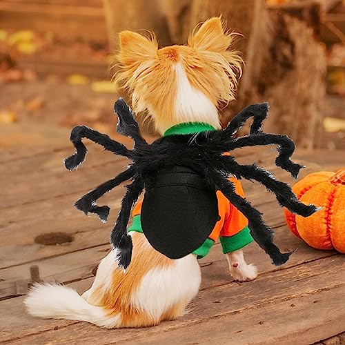 Stronrive Halloween Spinnenkostüm für Hund & Katze - Plüsch Spinne Kostüme für Haustiere