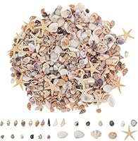 Wirow 1000 Stück Mini-Muscheln, Kleine Seesterne, Gemischt, 20 Arten Winziger Muscheln, Lose zum Basteln, Natürliche Strandmuscheln, DIY-Strand-Mottoparty, Kerzendekor, Hochzeitsfischbecken