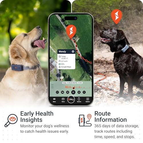 PAJ GPS Dog Tracker - 4G Real-Time Tracking & Runaway Alerts - Waterproof, Long-Range, Smart App Monitor Health & Activity - Fits Any Collar, Mini Device Navigator Chip - Subscription Required - Black - Image 4
