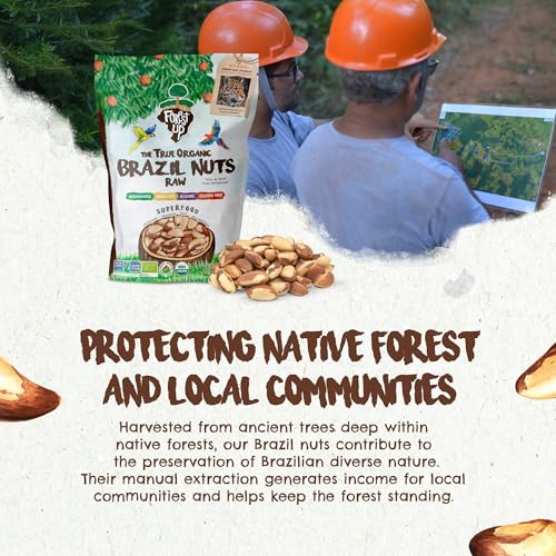 Image of Snack The True Organic Brazil Nuts Medium Size 32 oz-2lbs - Raw and Unsalted - Kosher - Healthy-Rich in Vegetable Protein - Harvested in Amazon Rainforest - Fresh, Vegan and Gluten Free - Forest Up