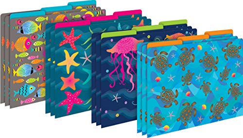 Chemises de classement de bureau 14 pt Barker Creek Kai Ola fournitures scolaires