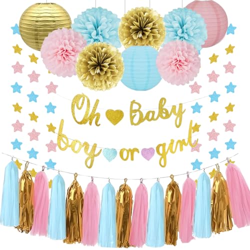 Baby Gender Reveal Decorations?Party Supplies Kit Blue Pink, Boy or Girl Banner, Tissue Paper Poms, Paper Lanterns, star garland, Tassels Garland- Gender Reveal Boy Or Girl