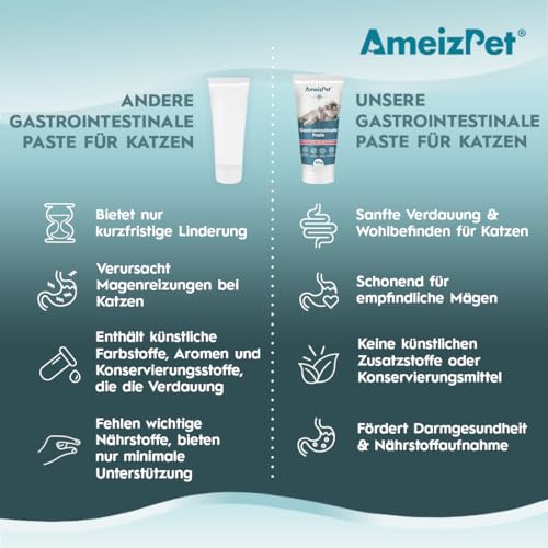 AmeizPet Gastro Intestinale Paste für Katzen, Unterstützung der Darmgesundheit und Darmflora, Verdauungsunterstützendes Ergänzungsmittel für Katzen und Kätzchen, 100g (3.53 Oz)