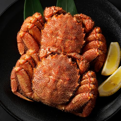 [北海道根室市] [年内配送品(12/21決済分まで)] 浜ゆで毛がに350g前後×2尾 ふるさと納税 北海道 根室 ボイル 毛ガニ カニ 蟹 かに 海鮮 人気 A-21001[配送月(年明け含む)の指定は不可]