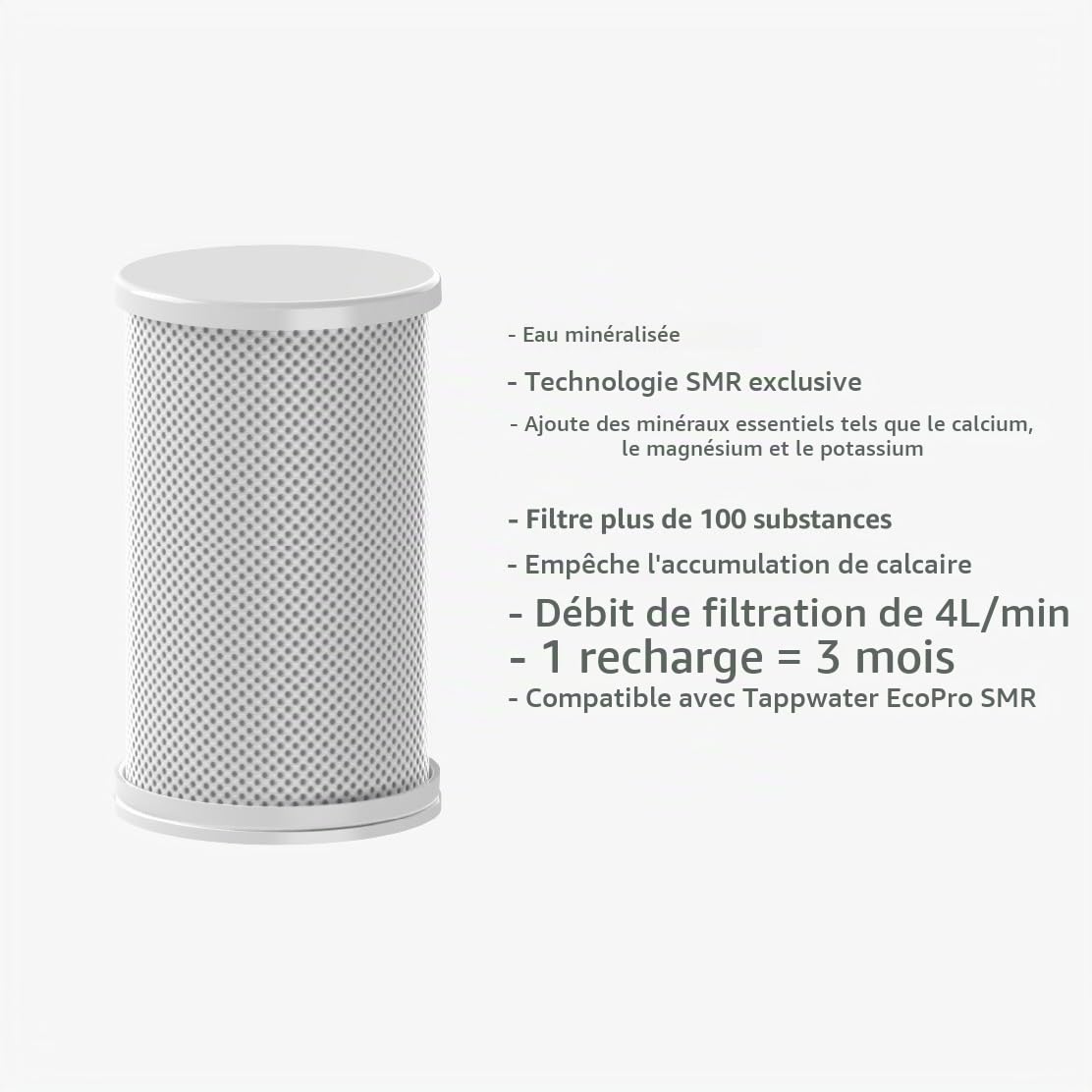 Tappwater EcoPro SMR Refills - Jeu de 4 cartouches de rechange pour filtres à eau EcoPro SMR