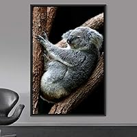 Framed Canvas Wall Art Koala Bear Animals Expressive Farmhouse/Country Living Room Monkey Multicolor Photography - 16x24 inches