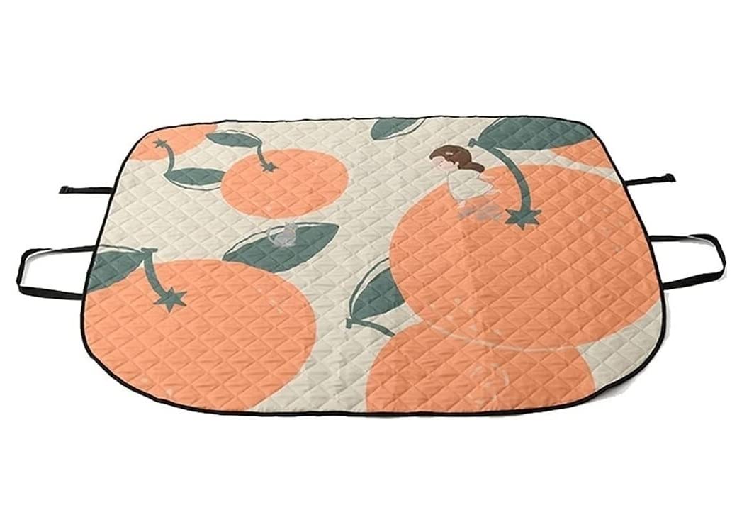 CVdrtyED Picnic Blanket Multifunction Portable Picnic Camping Blanket, Mat Foldable Lightweight Car Windshield Sun Visor Cover Outdoor Mat(D)
