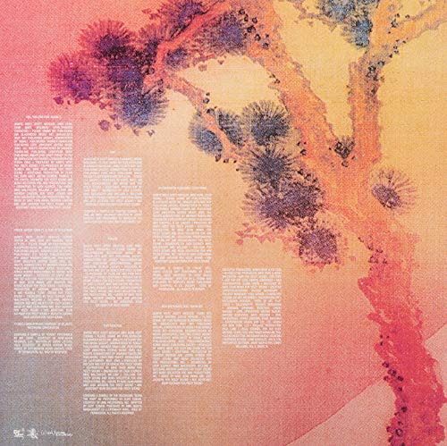 Kids See Ghosts [Lp] #TOP4