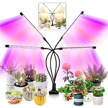 growing vegetables indoors with led lights