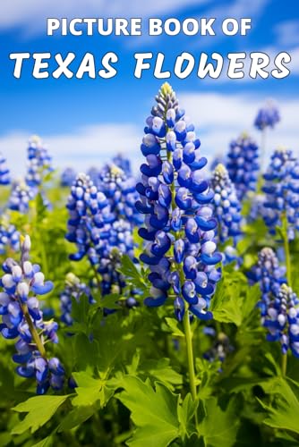 Picture Book Texas Flowers: