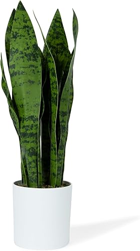 Miniatura 1 de flybold Planta de serpiente falsa, planta de serpiente sintética, gran planta artificial de Sansevieria con 28 hojas altas, maceta gruesa y duradera