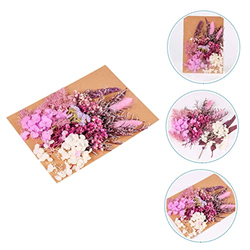 Unomor kit flores secas para manualidades decorativas miniatura 4