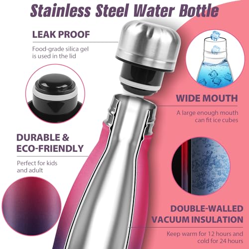 Image of Sfee Insulated Water Bottle, 17 oz Stainless Steel Water Bottles, Double Wall Vacuum Reusable Water Bottles Leak Proof BPA-FREE Sports Bottle Cup Keep Hot&Cold for Running Gym Workout Cycling Kids