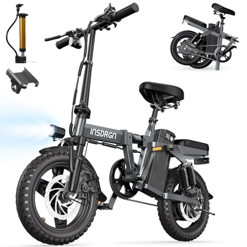 INSDRGN Electric Bike for Adults Peak 650W, 20 MPH Folding E Bike, 48V Removable Li Battery Ebike, Top 45 Miles PAS Range, 14