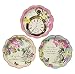 Kids Birthday Party Supplies & Decorations Paper Plates Alice in Wonderland 24 Pack 6.75 inch