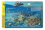 Reef Smart