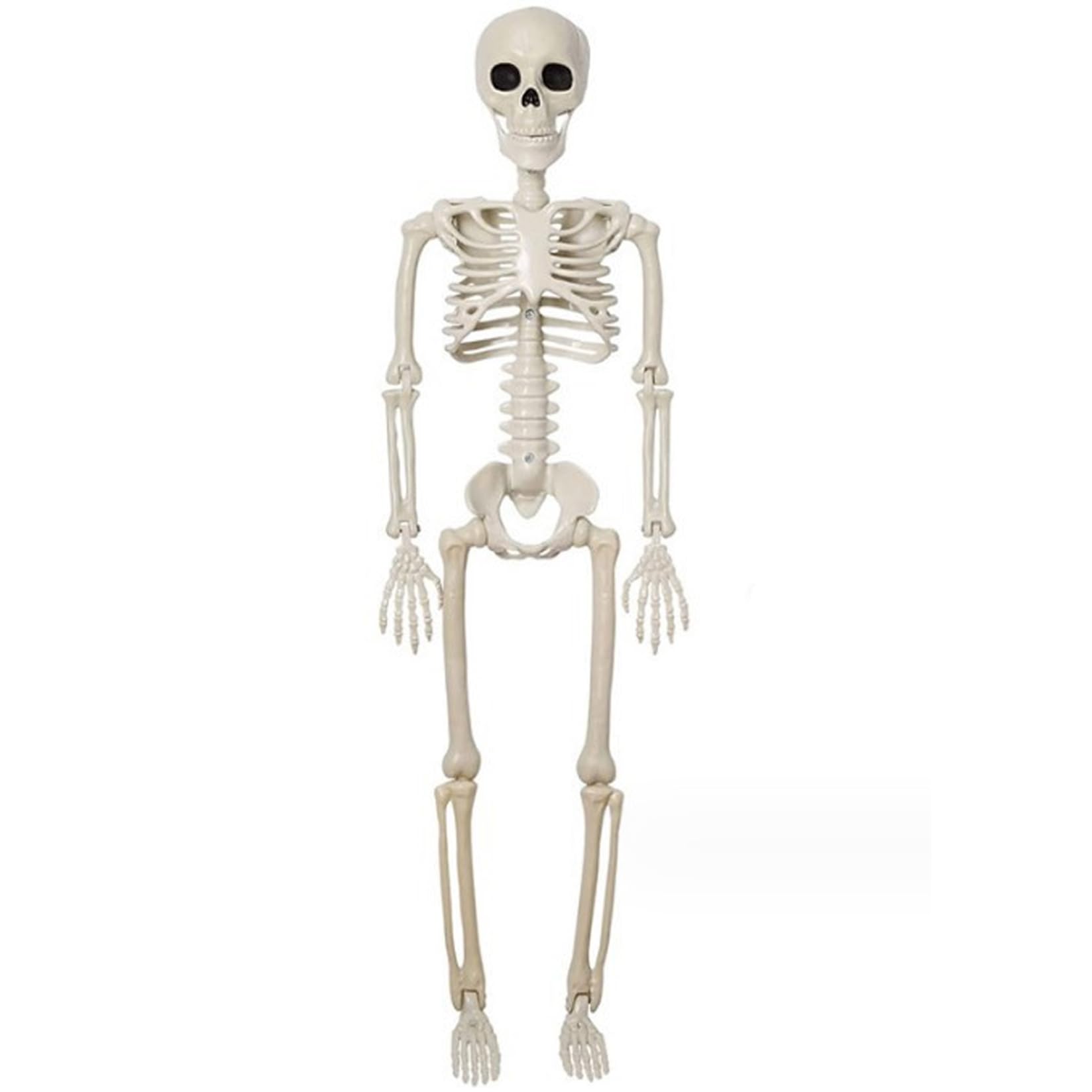 Hbbgdiy 16 Inch Small Plastic Skeleton with Movable Joints, Realistic Full Body Skeleton Halloween Prop, Indoor Outdoor Haunted House Decor for Halloween Party Decorations