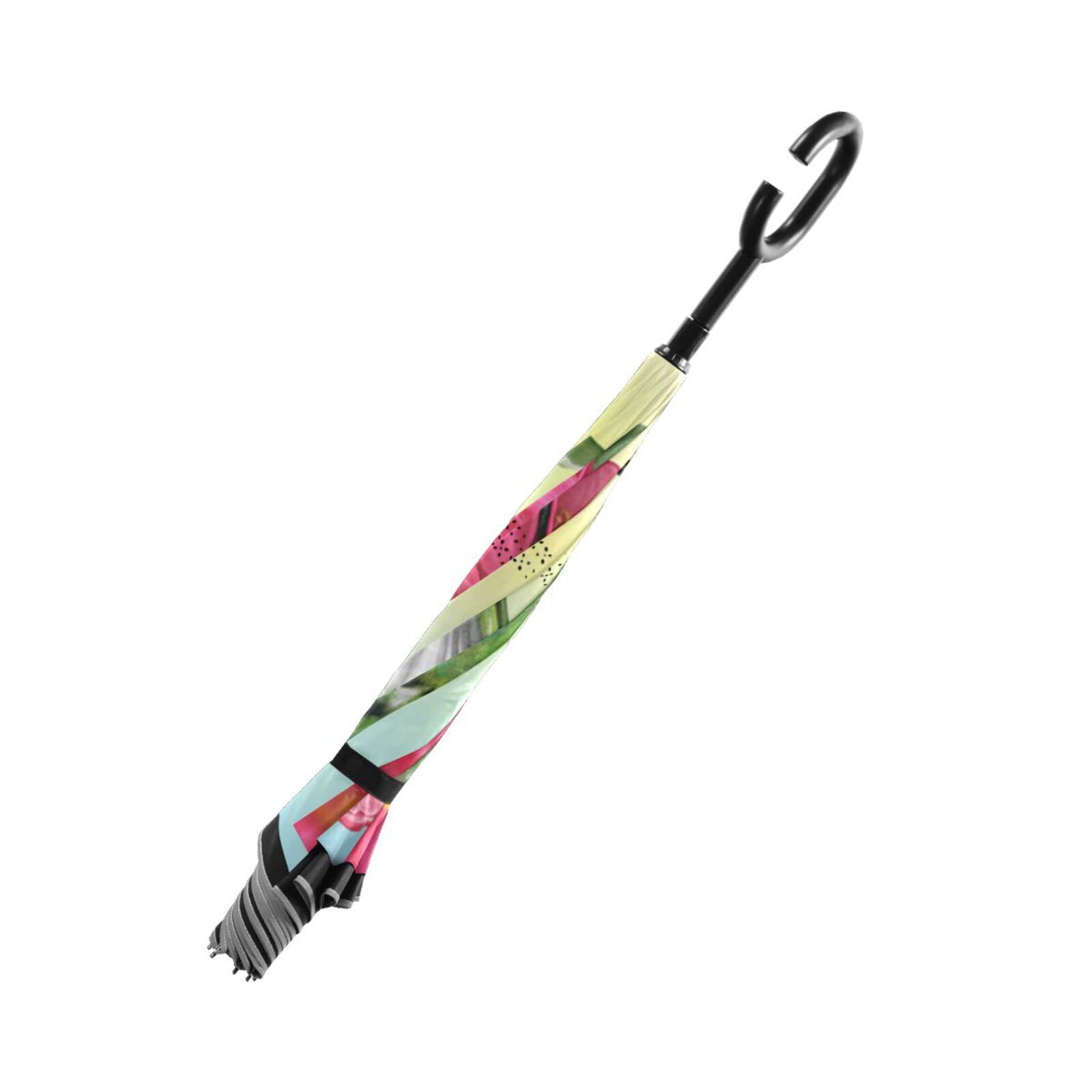 MNSRUU Paraguas invertido de flores de colibrí de doble capa para coches a prueba de viento Paraguas de lluvia para coche al aire libre con mango en forma de C, protección UV, Green, L